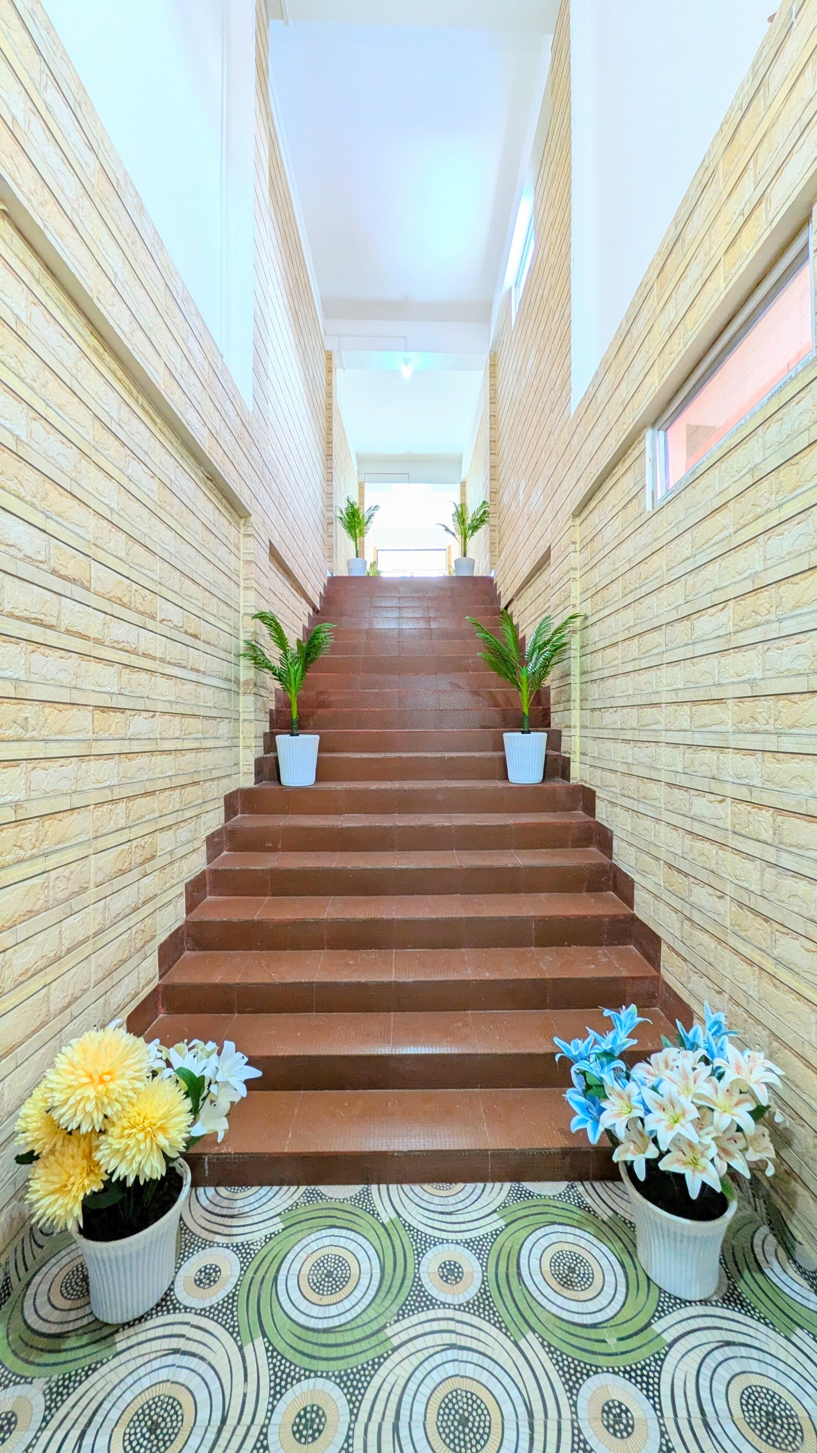 Valley View 5